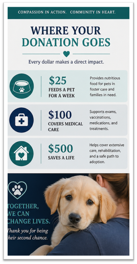 Where Your Donation Goes โ $25 Feeds a Pet for a Week, $100 Covers Medical Care, $500 Saves a Life. Together, We Can Change Lives.